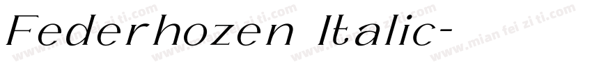 Federhozen Italic字体转换